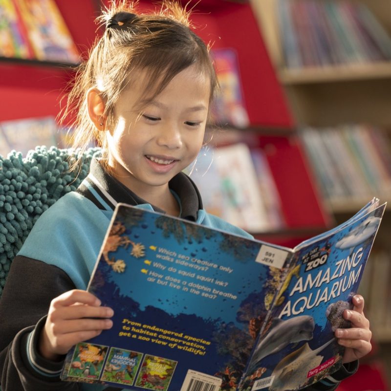 MAPS University PS34651