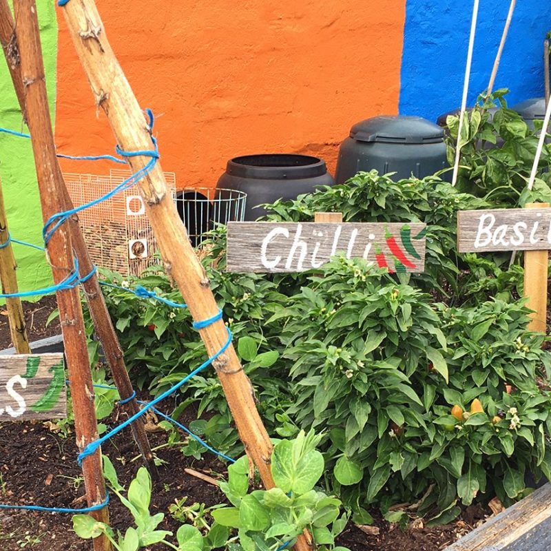 Warrnambool East Primary 1920x850